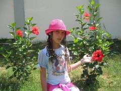 произвольное