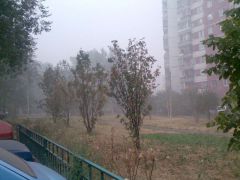 Дым и деревья