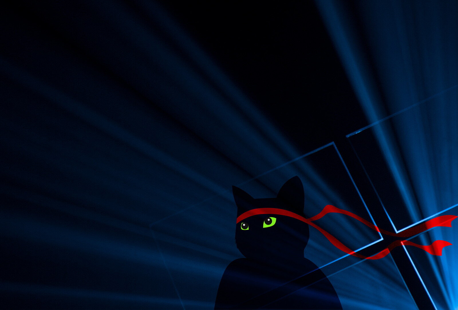 Windows-Anniversary-Ninjacat.jpg